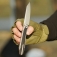 N� Artisan Cutlery Trust 1886G-GY