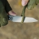 N� Artisan Cutlery Trust 1886G-GY