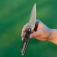 N� Artisan Cutlery Sudden Carbon Fiber 1890G-CF
