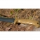 Maczeta Camillus Carnivore X 19236-003