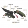 N� CJRB Cutlery Gobi Green G10 J1906-BGN