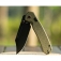 N� CJRB Cutlery Bowie Pyrite Green G10 J1942X-BGN