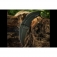 N Extrema Ratio K-Talon Dark Stone EX0224DKS