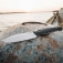 N� Kershaw Camp 5 1083