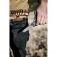 N� Kershaw Radar 5560