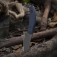 N� Kizer Bulldog Fix Blue G10 1116A1