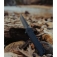 N� Schrade Steelhead 1159314