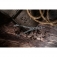 N� treningowy Schrade Alkemyst 1191836