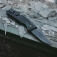 N� SOG Trident AT Blackout 11-12-05-41