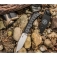 N� SOG Ace ACE1001-CP